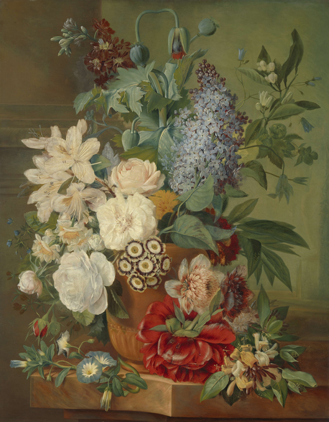 Flowers in a terracotta vase