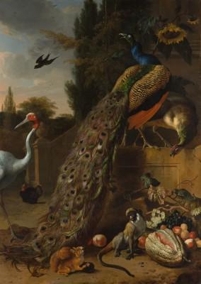 Peacocks in a lush outdoor scene by Melchior d'hondecoeter
