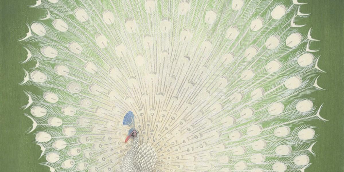 Albino peacock in a sunlit garden - artwork in frame preview