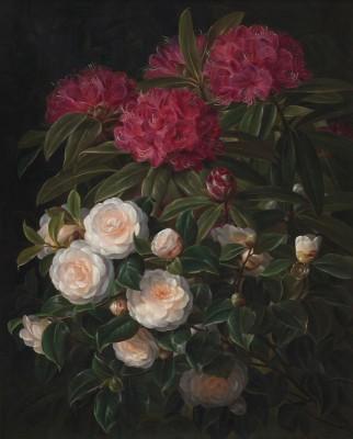 Camellias and rhododendrons outdoor scene - artwork in frame preview