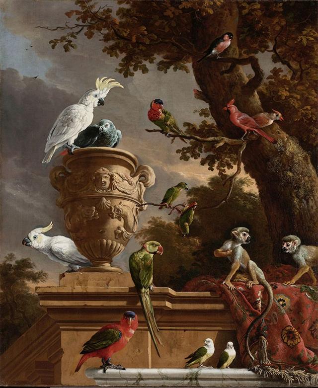 De menagerie melchior dhondecoeter in blue light