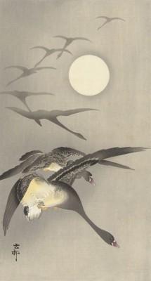 Lowkey outdoor scene with geese at full moon