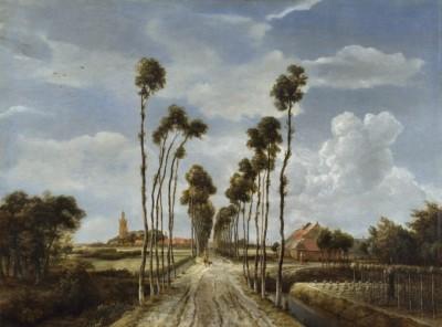 Quiet country lane scene at golden hour