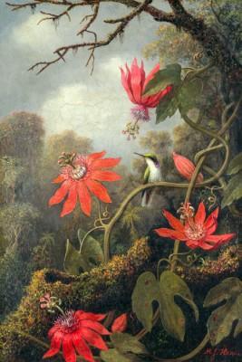 Hummingbird and passionflowers outdoors scene - artwork in frame preview