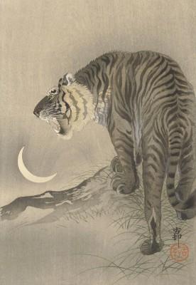 Roaring tiger in subdued outdoor scene - artwork in frame preview