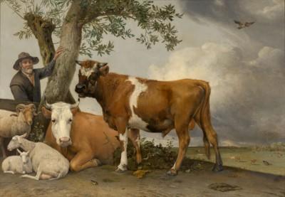 The bull in a green outdoor scene