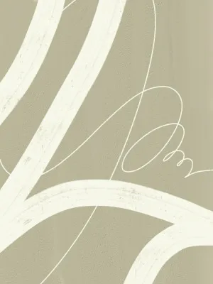 Elegant Flowing Lines