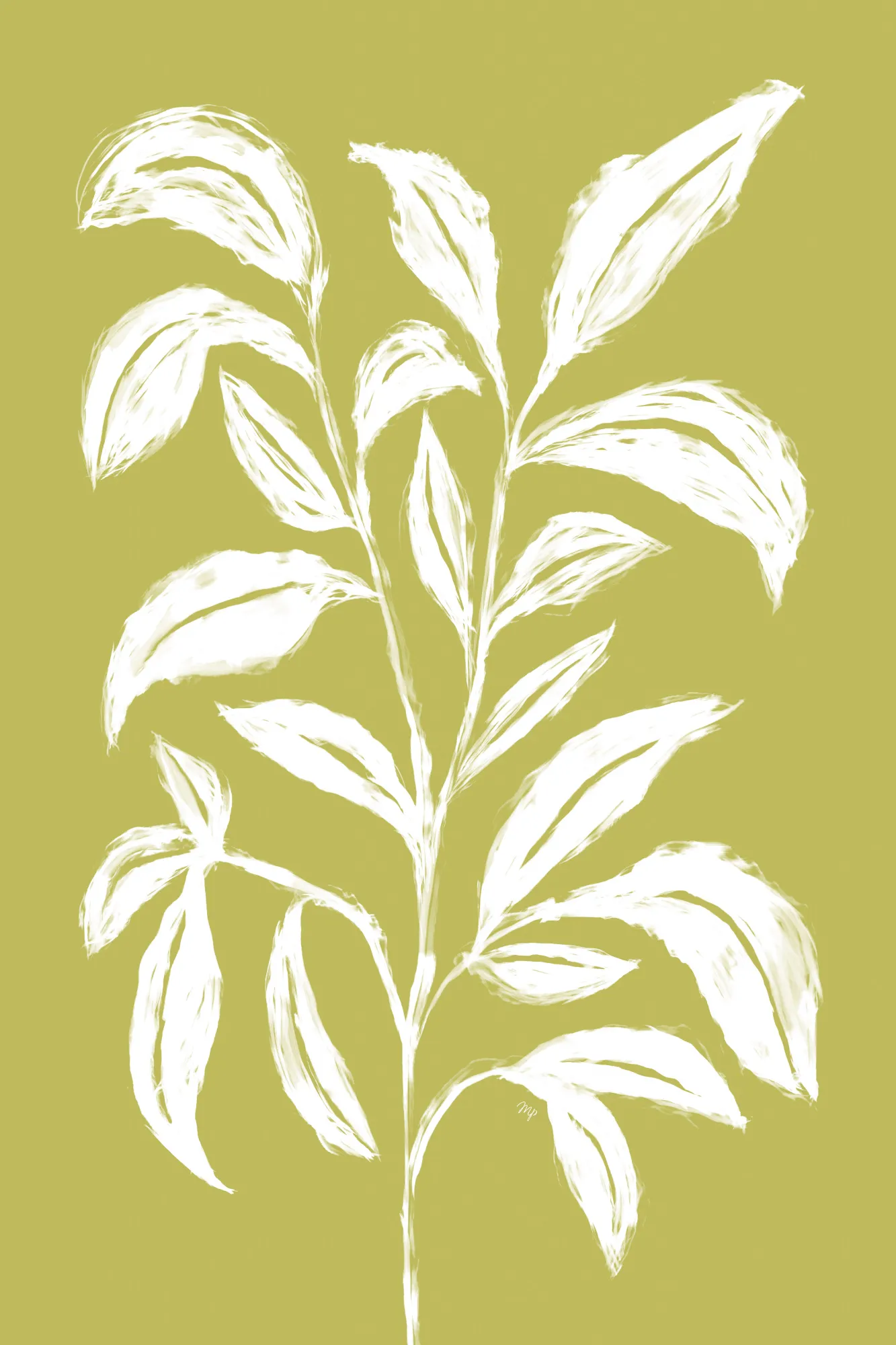 White leaf sketch botanical illustration