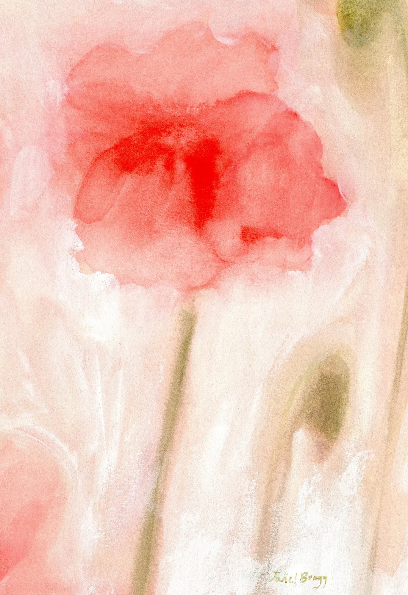 Floral impression in coral ii by janel bragg