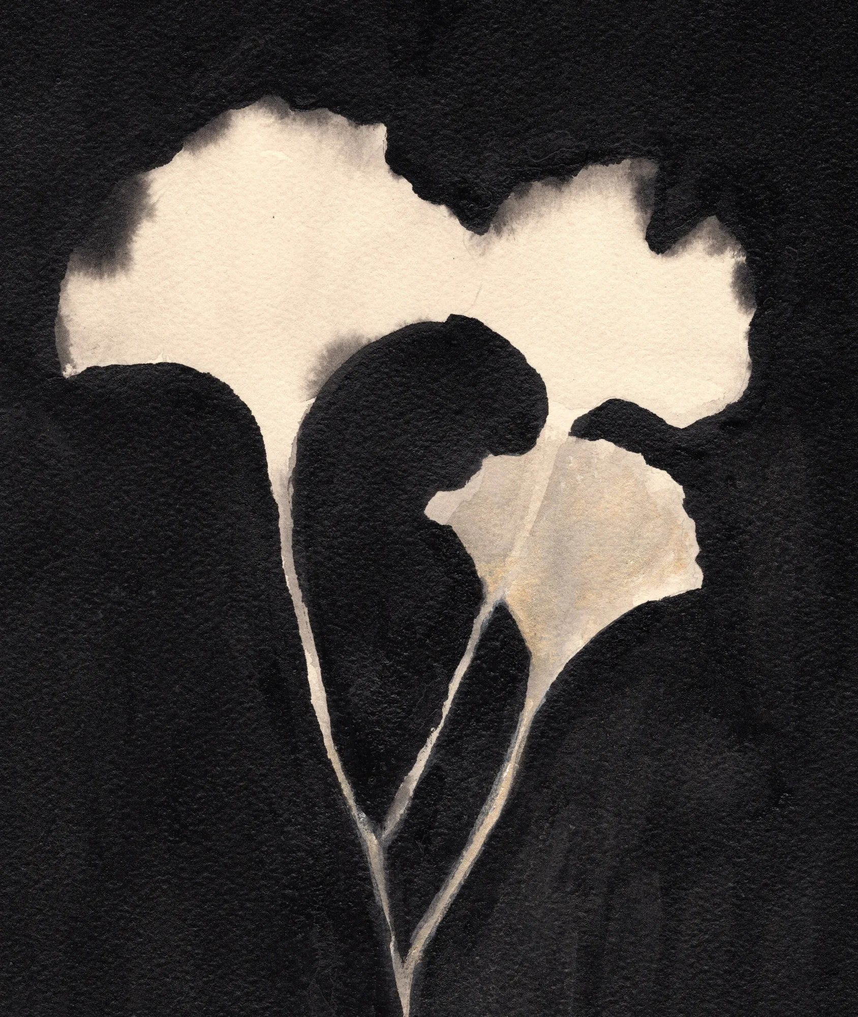 Gingko leaves pair ii by janel bragg