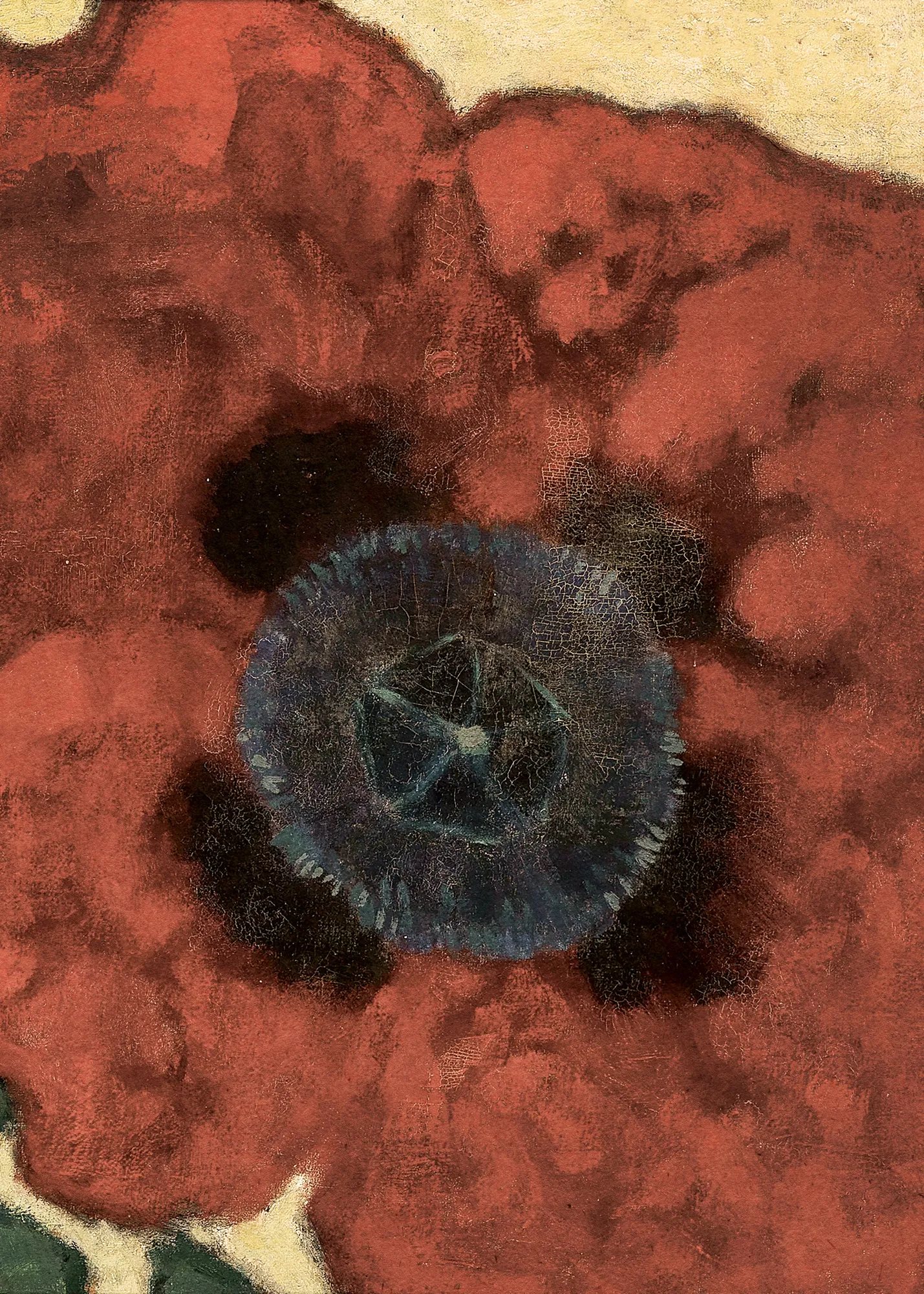 Artur nikodem poppy flower illustration