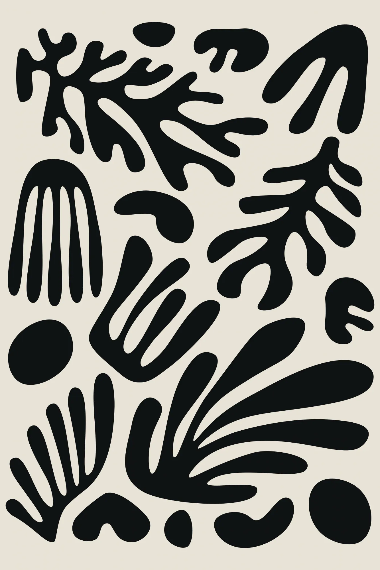 Henri matisse black algae collection #3 by jay stanley
