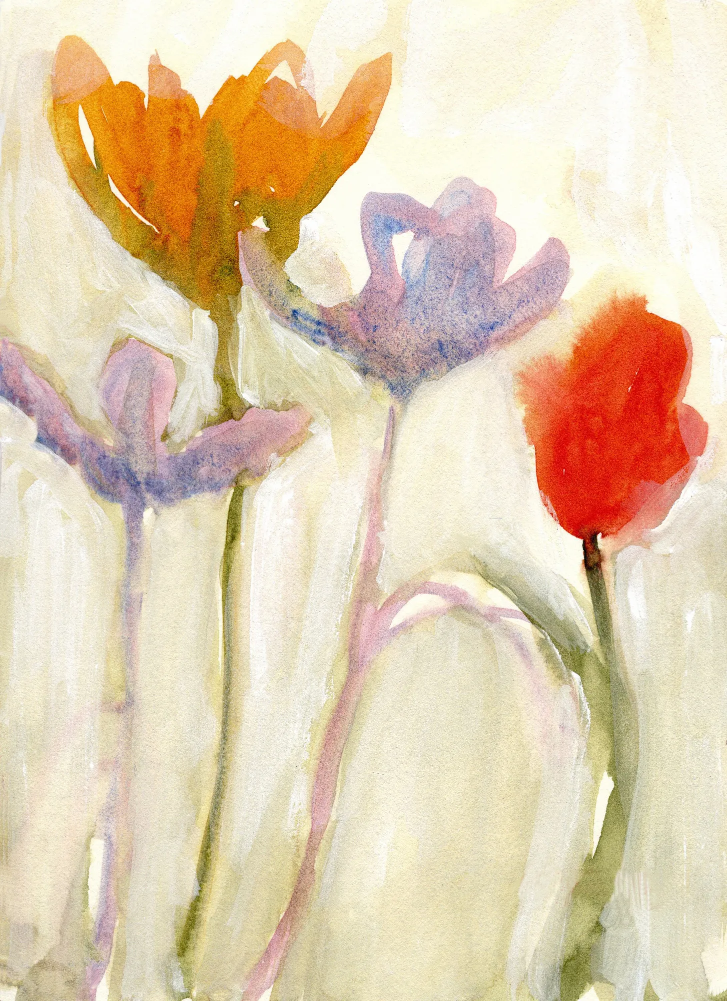 Tulips in spring ii by janel bragg