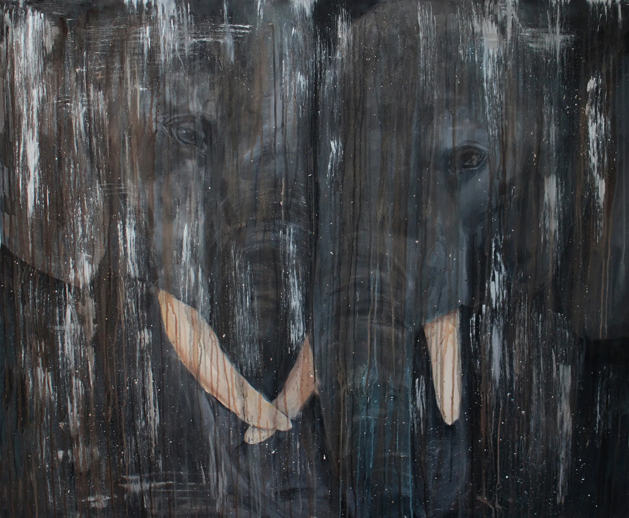 Elephant shadows by jenny nielsen